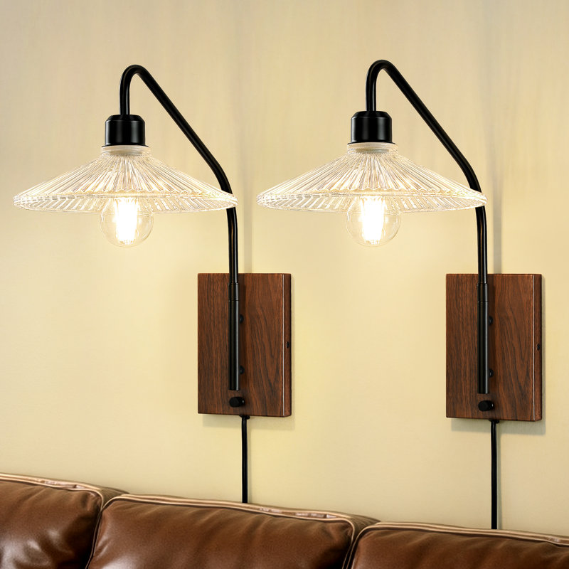 2 - Light Plug in Swing Arm Wall Sconces with Glass Shade, Matte Black