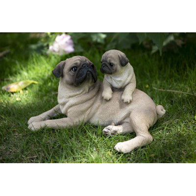 Mother and Baby Pugs