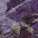 Oatfield Abstract Indoor Rug