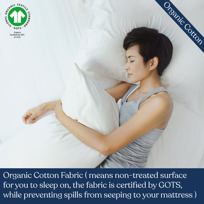 Delara Organic Cotton Hypoallergenic Queen Pillow Protector
