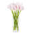 Rose sélectionné