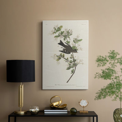 Imprimé animalier rétro - galerie Cavas