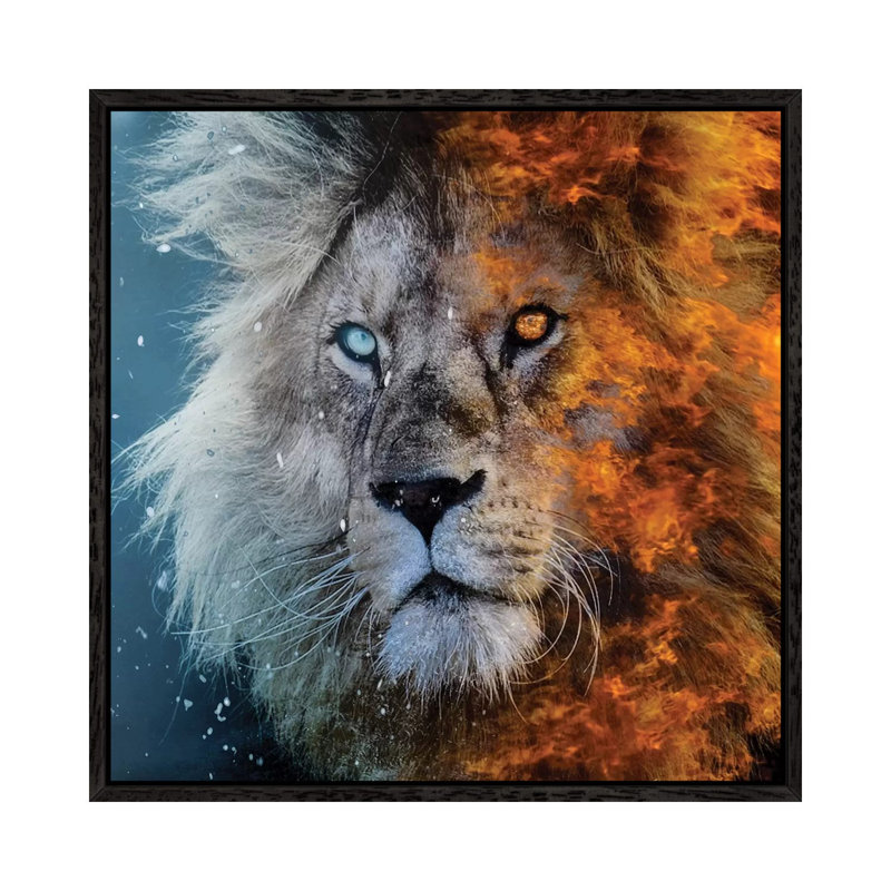 Fire And Ice by Paul Haag - Print on Canvas, 45.72 cm H x 45.72 cm W, Black Framed