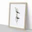 Black-Rumped Finch Birds by Elizabeth Gould - Picture Frame Painting Print-55544672-55544678
