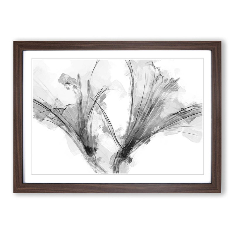 Floral Shadows in Abstract - Framed Print, Walnut, 60cm H x 91cm W x 2cm D