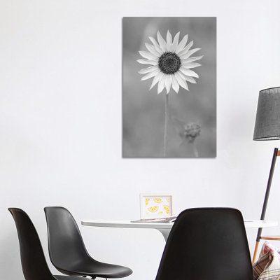 Dynamic Daisy by Louis Ruth - Wrapped Canvas Print
