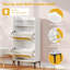 Amillya 6 Pair Shoe Storage Cabinet