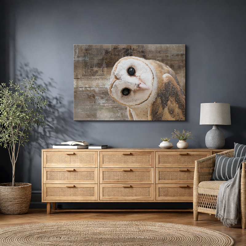 Bird " Curious Owl Looking (Tyto Albahead) Head Close Up ", Wrapped Canvas, 16" H x 24" W, No Frame