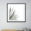 Agave II Print by Jess Engle-48615490-48615491