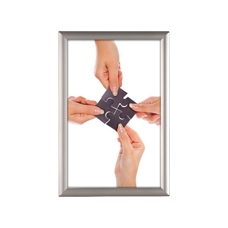 Opti Snap Poster Frame