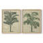 «Burlap Palm Silhouette III», reproduction encadrée de qualité supérieure - prête à être accrochée - aucun clou requis - aucun clou requis-1881880337-1881880351