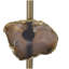 Lampe de table dorée D14x25,2 "avec tranche d'agate et abat-jour tambour blanc (assemblage de l'abat-jour requis)