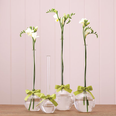 Ensemble de 4 vases bulles avec ruban vert sauge, 30 cm de hauteur, en verre soufflé à la main, style élégant et chic.