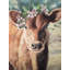 Impression sur toile, cadre flottant