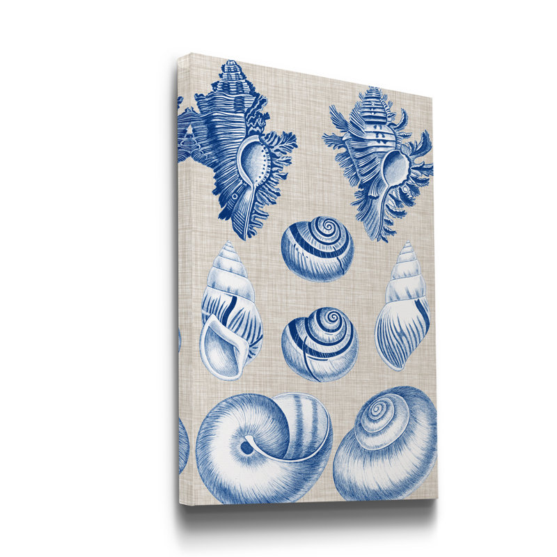 Shells IV - Wrapped Canvas Print, 12" H x 8" W x 1" D