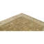 Oriental Area Rug
