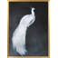 Nature Inspired "Whitepeacock2 Reverse" Framed Print Wall Art-619862079
