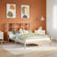 Choudhary Solid Wood Bed Frame-1676192307-1676192310