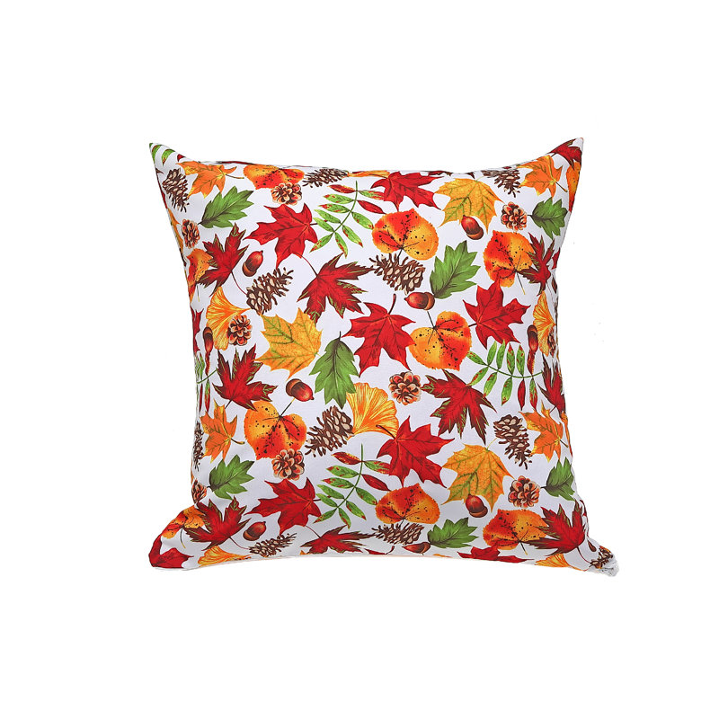  Housse de coussin carré et insert