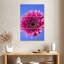 Rose Harnek Gerbera Daisy I-108649967