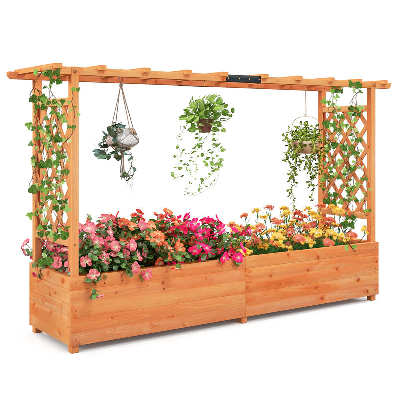 Lit de jardin surélevé en bois avec treillis latéral