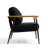 Dajauna Midcentury Modern Upholstered Metal Frame Chenille Arm Accent Chair-528104801