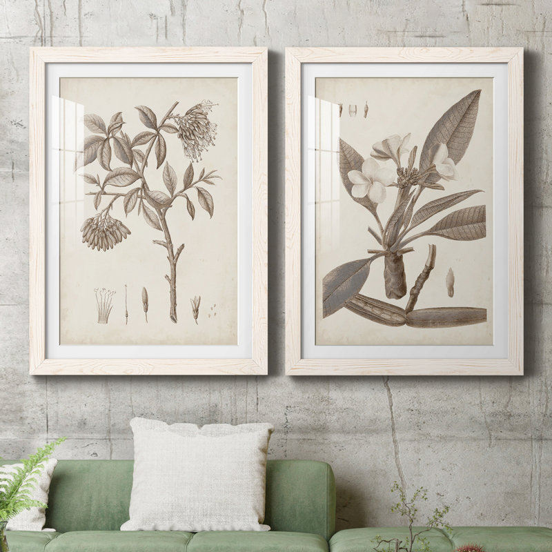 Antique sépia botanicals I - ensemble de 2 reproductions d'art sur papier encadré, H 31,5 po x l 47 po x P 1,5 po