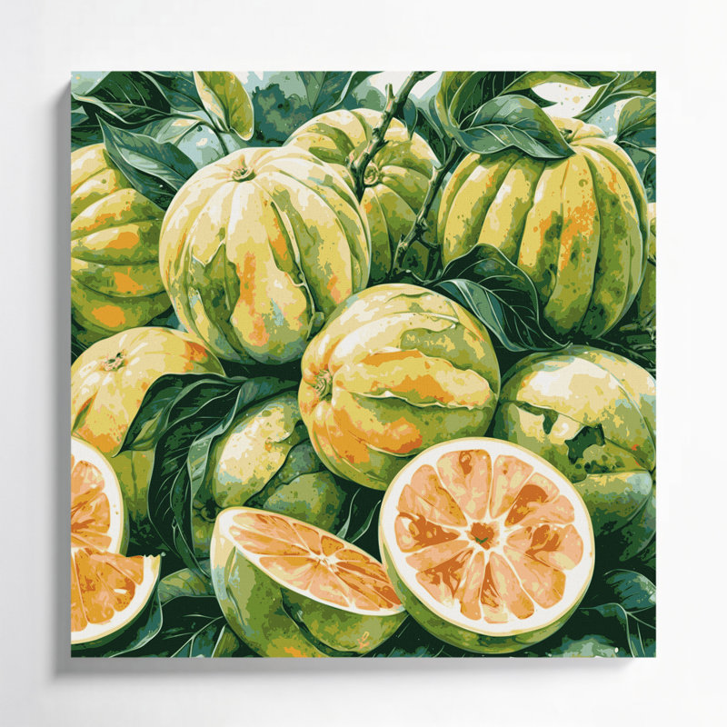 Art mural sur toile beige Fruit Pomelo, H 16 po x l 16 po