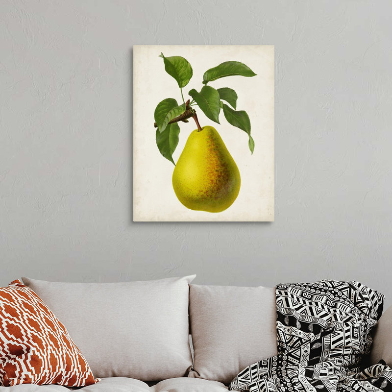 Antique Fruit VII - reproduction d'art sur toile, H 30 po x l 24 po x P 1,25 po, Toile tendue