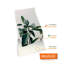 Collage Mural Wall Sticker