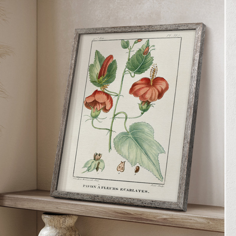 Reproduction encadrée Turpin Tropical Botanicals IV - bois massif, H 30 po x l 24 po
