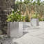 Arzate Planter Box-2059468692