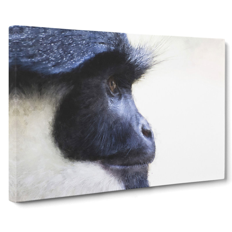 Colobus Monkey - Wrapped Canvas, 50cm H x 76cm W x 3cm D