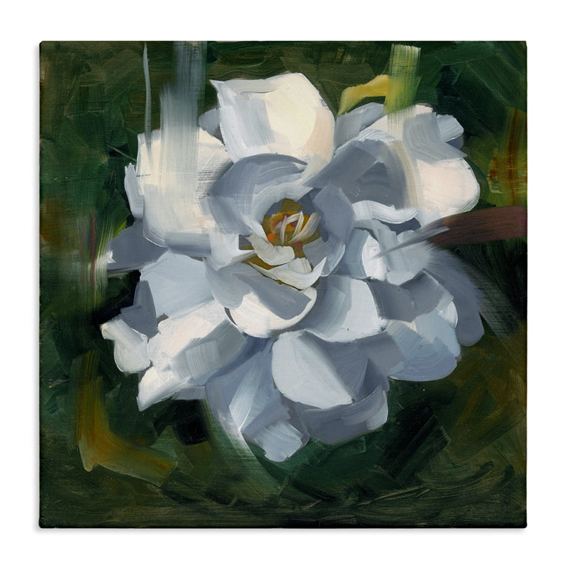 «Paint Streaked Flower», art mural sur toile par Liz Jardine, H 36 po x l 36 po