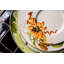 Amazōnia Porcelain Dinnerware Set