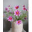 Real Touch Bleu Cosmos 29 po-904251296