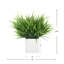 Herbe disposée en pot de fleurs carré