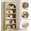 174.5cm H x 80.01cm W Standard Bookcase