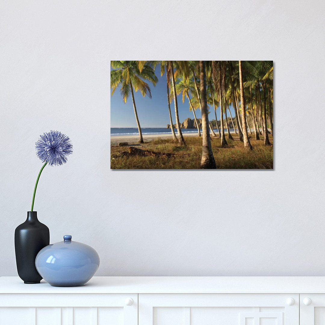 Palms At Playa Carrillo, Guanacaste, Costa Rica by Tim Fitzharris - Wrapped Canvas Print
