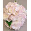 BOUQUET D'HORTENDAÏS X3 PIÈCES-2089488818-2089488819