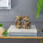 Set of 2, 4.3x4x6" Elephant Bookends