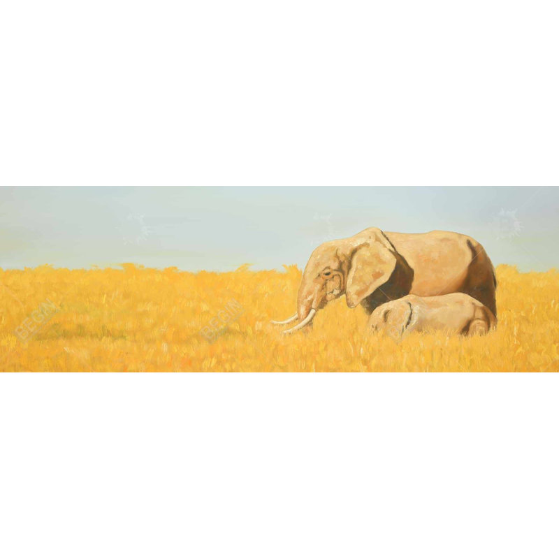 Éléphant et son petit éléphant