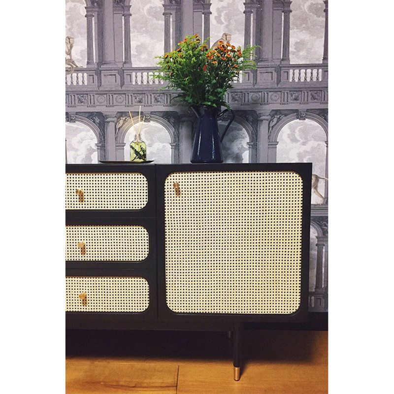 Modern Rattan Accent Cabinet