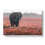 Marching Elephant In Abstract - Wrapped Canvas-55361946