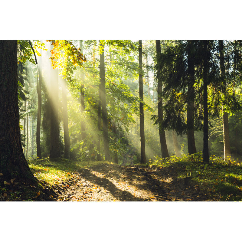 Rays Of Light - Wrapped Canvas Print, 30cm H x 46cm W x 3.8cm D