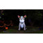 Halloween Inflatables 5 Ft Halloween Inflatable Skeleton Dog With Led Lights