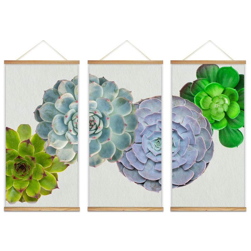 Succulente affiche botanique suspendue florale avec cadres en bois