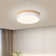 Modern Dimmable LED Close to Ceiling Light