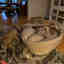 Customer photo 4 of 5