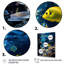 «Blue Butterfly Fish Marine Grace», art mural poisson papillon-1883127447-1883126119
